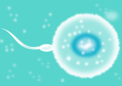 贵州亲子鉴定机构在哪【预约挂号】，贵州亲子鉴定如何办理