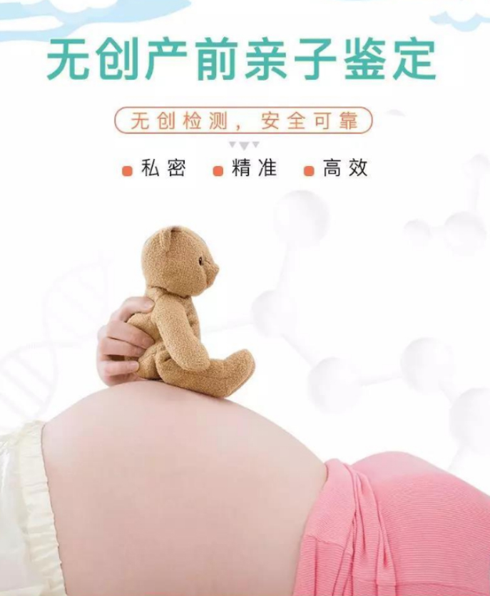 贵州怀孕5周要如何办理DNA鉴定,贵州孕期亲子鉴定收费多少钱