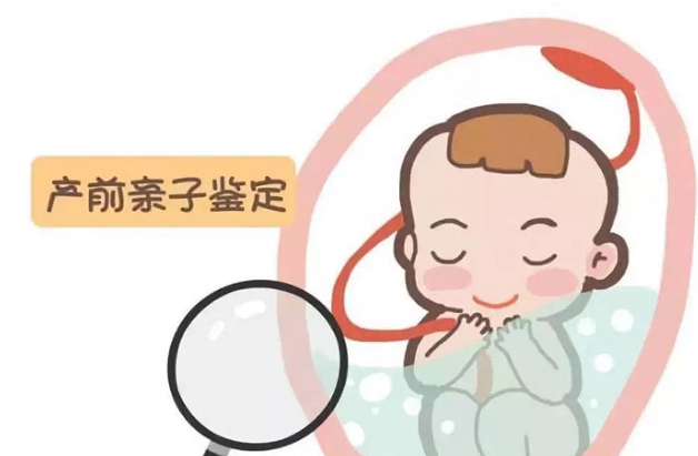 贵州怀孕六周如何办理无创产前亲子鉴定,在贵州做无创孕期亲子鉴定大概多少钱